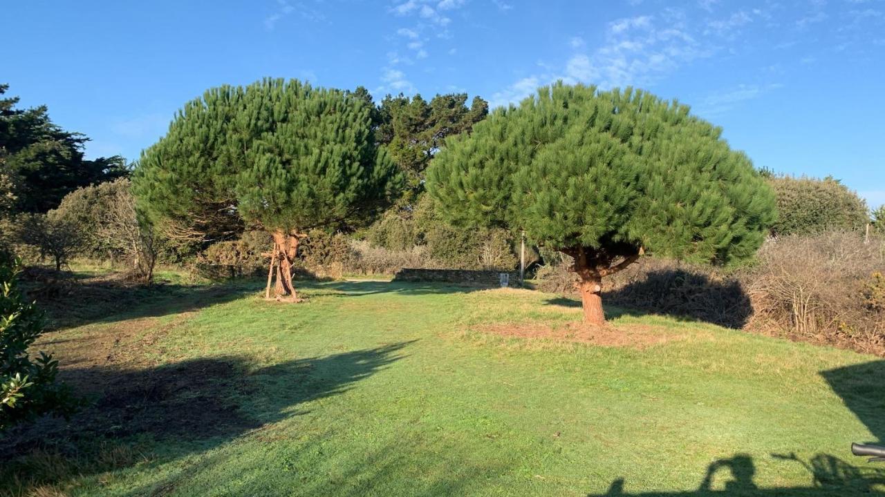 Maison 100 M Plage, 2 Kms Du Port Ile d'Yeu Eksteriør bilde